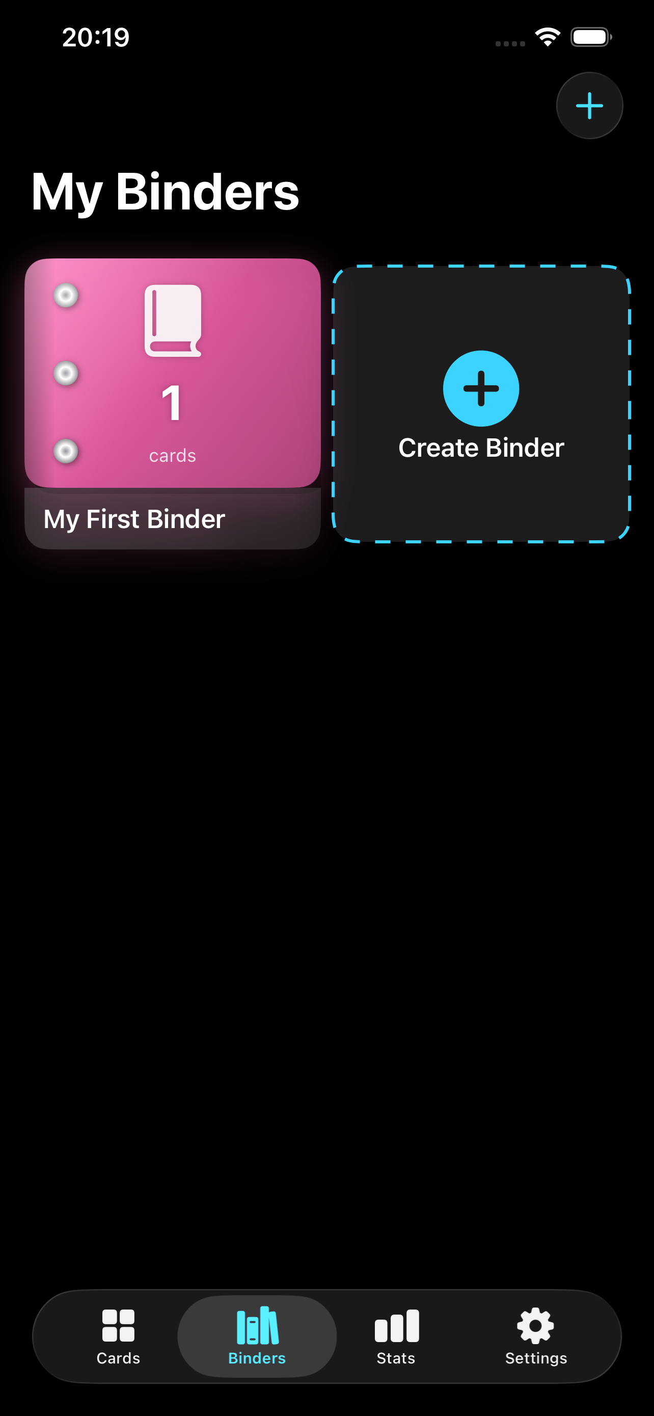 Binder Details with Cards